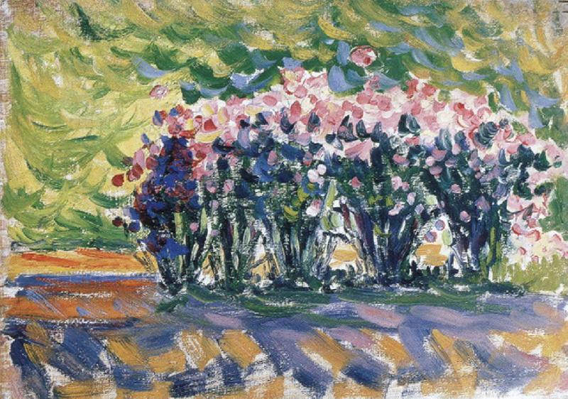 Paul Signac oleanders oil painting picture